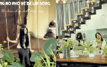 Cô gái bỏ mức lương trăm triệu, rời Hà Nội về Đà Lạt: Chi tiêu không hề “mộng mơ” như tưởng nhưng đáng!