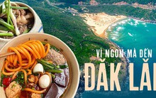 Tỉnh này có cả rừng vàng và biển bạc, cảnh đẹp miễn bàn, đặc sản đa dạng đi 8 lần ăn không hết!