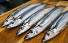 Mỹ đánh giá đây là loài cá "tốt hơn cả cá hồi", ngọt thịt ít xương, đi chợ thấy nên mua ngay