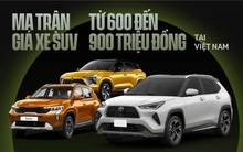 Ma trận 16 xe giá 600-900 triệu đồng: Mitsubishi Destinator về Việt Nam 'chen chân' vào đâu?