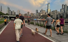 Bài tập đơn giản nhưng “hiệu quả” gấp 4 lần đi bộ, 8 lần chạy bộ: Tập đúng còn chống đột quỵ, ung thư