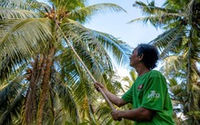 AIG tiên phong xu hướng chế biến sâu và chuỗi liên kết bền vững cho nông sản Việt