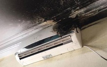 Vì sao càng nắng nóng càng không nên bật điều hòa 24/24? EVN đưa ra cảnh báo đặc biệt