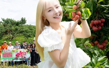 Vải Lục Ngạn "cháy" hơn 10500 đơn chỉ sau 1 ngày, PCT tỉnh chỉ ra 3 từ khóa "đạt chuẩn đi Mỹ"