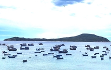 Việt Nam lọt tốp 7 thị trường hàng đầu thế giới ở 1 lĩnh vực bền vững: "Mỏ vàng" âm thầm kiếm tỷ USD