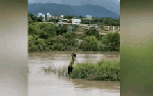 Dùng máy bay không người lái cứu 2 cháu bé mắc kẹt giữa dòng lũ