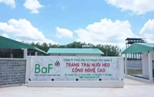 Doanh nghiệp chăn nuôi lãi 'khủng' bất chấp dịch tả lợn châu Phi