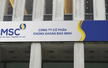 Chứng khoán Bảo Minh dự kiến huy động 1.250 tỷ đồng từ 8 nhà đầu tư