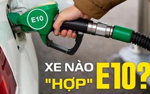 Từ mai, xăng E10 được bán rộng rãi: Thực hư loại xăng mới dễ gây hỏng động cơ, chủ xe lưu ý