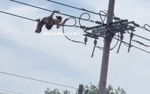 Người phụ nữ bò trên đường dây điện khiến cả phố hoảng sợ : Tình trạng sức khỏe sau khi bị ngã xuống