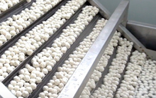 Một mặt hàng ‘ngon bổ rẻ’ của Việt Nam được Thái Lan, Hàn Quốc cực kỳ ưa chuộng: Xuất khẩu tăng phi mã kể từ đầu năm, nhu cầu tăng mạnh từ Á đến Âu