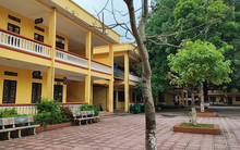 Trường THCS có cái tên "lạ" nhất Hà Nội vừa có học sinh lọt top 8 em điểm thi lớp 10 cao nhất: Trường làng nhưng thành tích "không vừa"!