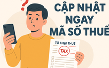 Người có 2 mã số thuế hoặc chưa có mã số thuế: Cần làm ngay những việc sau