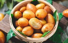 Loại quả dại ở Việt Nam lại là "trái vàng" được săn lùng tại Trung Quốc, từ rễ đến hạt đều "bổ như sâm"