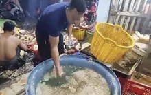 Công an TP HCM kiểm tra đột xuất, phát hiện 3 cơ sở ngâm hoa chuối bằng hoá chất