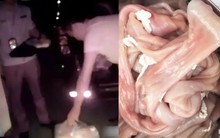 Đột kích chợ trong đêm, phanh phui cơ sở bán lòng lợn ngâm hoá chất doanh thu 7 tỷ đồng, tịch thu hàng trăm kg lòng sắp “tuồn” ra thị trường