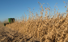 Không phải dầu thô hay khí đốt, Nga bất ngờ giảm thuế xuất khẩu một mặt hàng xuống 0%, là ‘vũ khí’ nông sản Moscow đứng đầu thế giới