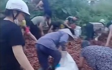 'Hôi vải' trên xe tải gặp nạn: Nhiều người chuyển tiền cho tài xế