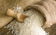 Lộc Trời tháp tùng Thủ tướng 'mở cánh cửa' cho gạo Việt ở đất nước 210 triệu dân