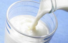 Thành triệu phú nhờ sữa pha urê: Đường dây bị phanh phui sau 7 năm 'hút máu' người dùng