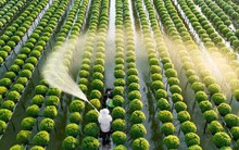 Doanh nghiệp Brazil – Nhật muốn đưa Việt Nam thành “cứ điểm” phát triển nông nghiệp công nghệ cao ở châu Á