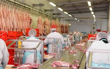 Tập đoàn chế biến thịt lớn nhất thế giới muốn biến Việt Nam thành trung tâm sản xuất toàn cầu