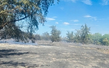 Vì sao gần 100 người Quảng Trị phải cấp tốc vào rừng giữa trưa nắng?