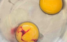 2 loại trứng gà nhiễm khuẩn - gặp là vứt ngay, 3 loại an toàn - cứ yên tâm dùng bữa!