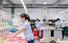 FPTS tiếp tục đăng ký bán hơn 500.000 cổ phiếu MSH