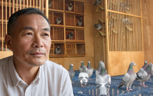 Mua nhà 8,5 tỷ đồng, 7 năm sau mới “ngã ngửa” vì nhà mất giá hơn 1 tỷ: Người đàn ông đòi môi giới hoàn tiền vì "không ai nói tôi sống dưới… 2 chuồng bồ câu"