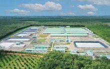 Baf Việt Nam ‘rót’ 150 tỷ đồng thành lập công ty con tại Ninh Bình