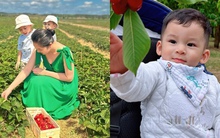 Bà xã của 1 Shark nổi tiếng cho các quý tử hoá thân thành "nông dân nhí", tận hưởng mùa hè đầy thú vị bên trời Âu