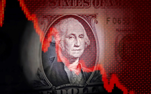 USD chao đảo trong nửa đầu năm 2025: Dấu hiệu đồng bạc xanh dần mất 'ngôi vương'?