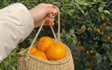 5 cách tiết kiệm tiền của mẹ, con cái cho là lỗi thời nhưng cả đời không khá lên nổi vì "cãi lời"