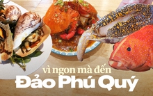 Vùng biển này toàn món ngon 'vương giả', nghe tên là đủ hiểu 'nhiều tiền chưa chắc đã được ăn'