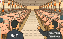 2 doanh nghiệp xin xây 'chung cư nuôi heo': Tiềm lực như thế nào?