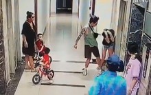 Luật sư phân tích vụ người phụ nữ bị hành hung ở sảnh chung cư Hà Nội dưới góc nhìn pháp lý