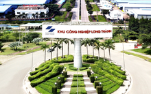 Sonadezi Long Thành chốt ngày thanh toán cổ tức năm 2024 bằng tiền tỷ lệ 30%