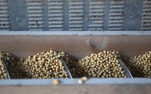 Trung Quốc xoay trục xuất khẩu mặt hàng then chốt, khẳng định sẵn sàng hy sinh công suất để không mua hàng Mỹ