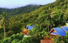 Bỏ 20 tỷ mua biệt thự, 6 năm sau giá tăng hơn 40 tỷ, người đàn ông nhận ra: "Tài sản giá trị lớn chưa chắc đã đem lại cuộc sống tốt"