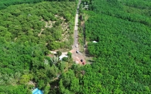 Đề xuất làm đường xuyên rừng, kết nối Đồng Xoài và Vành đai 4 TPHCM