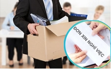 Muốn nghỉ cũng cần chờ: 5 trường hợp công chức không được thôi việc theo nguyện vọng từ tháng 7/2025