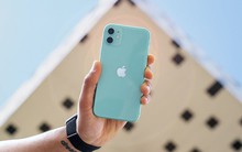 Apple dừng bán loạt iPhone đời cũ tại Việt Nam: iPhone 11 chính thức khép lại kỷ nguyên "quốc dân"