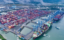 Sớm hình thành Khu Thương mại tự do Cái Mép Hạ quy mô 3.764 ha