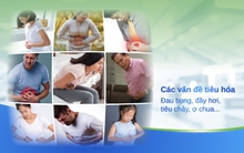 Tràng Vị Khang Plus - Cơ chế tác động kép bảo vệ hệ tiêu hóa khỏe mạnh