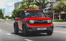 VinFast bán hơn 11.000 xe trong tháng 7, kéo dài chuỗi 10 tháng liên tiếp đứng top 1 thị trường