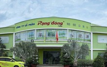 Công ty con yêu cầu Nhựa Rạng Đông mở thủ tục phá sản
