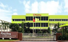 Tòa án ra quyết định mở thủ tục phá sản đối với Rạng Đông Holding