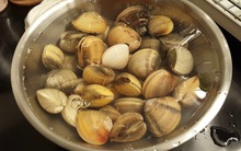 Rửa ngao kiểu gì cũng không hết bùn cát? Đầu bếp hàng đầu mách ngâm ngao với 2 thứ, đảm bảo sạch bất ngờ