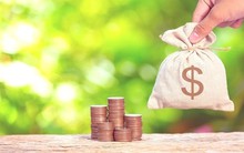 Doanh nghiệp tấp nập chia cổ tức, một công ty xây dựng thưởng cổ phiếu tỷ lệ 100%